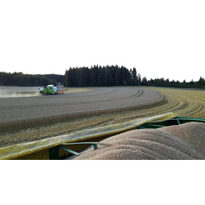 Helmi ThermoSeed 700 kg C2 vehnä
