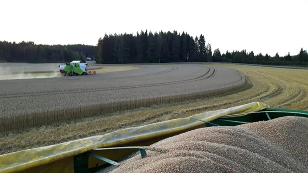 Helmi ThermoSeed 700 kg C2 vehnä