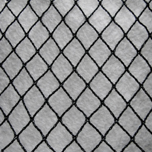 Lintuverkko 12 x 100 m