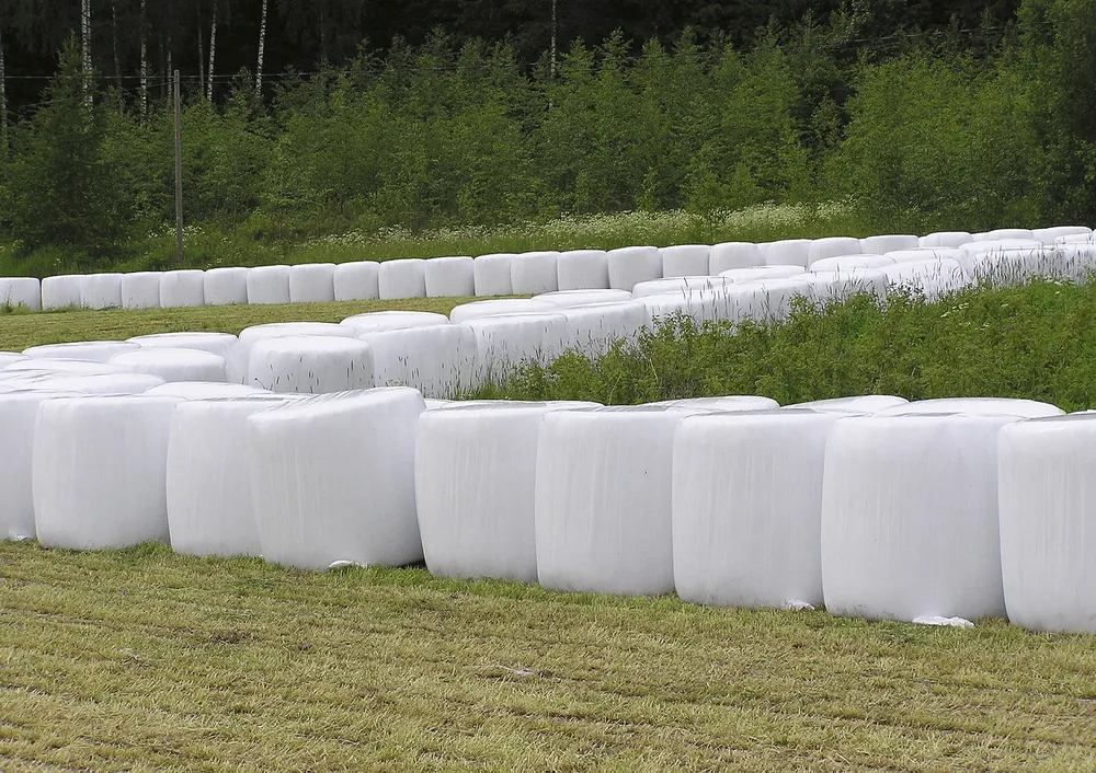 Käärintäkalvo RaniWrapXtra EasyPack 750 mm x 1700 m valkoinen - Image 2