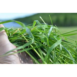 SäilöX Elite 200 l