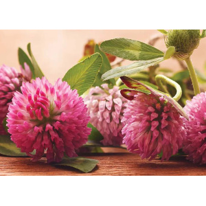 AIV Oiva 1000 l IBC-kontti