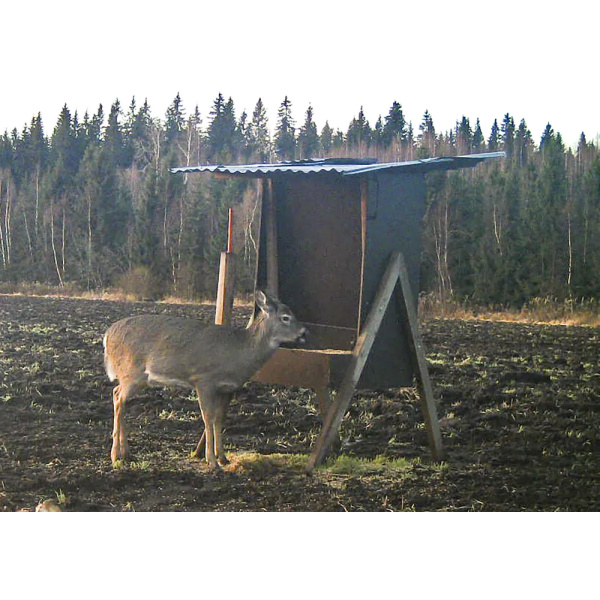 Metsästäjän riistaherne 25 kg