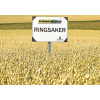 Ringsaker 600Kg Peitattu C2 Kaura